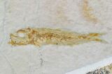 Limestone Clock With Fossil Fish & Dendrites - Solnhofen Limestone #103626-5